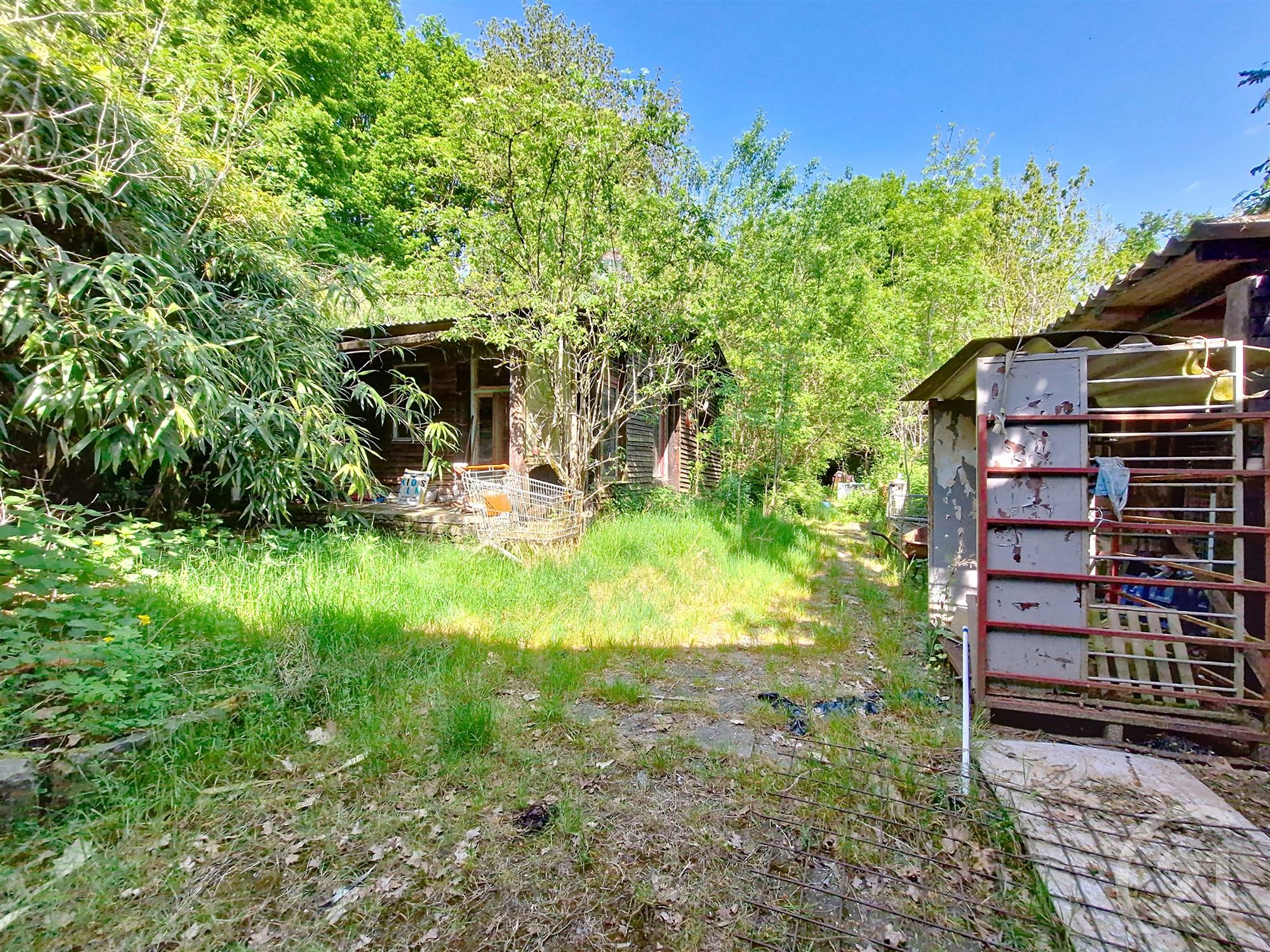 Natuurgebied te koop in Baal! - foto 5