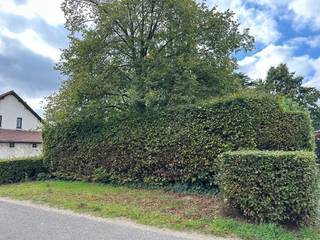 Droom je van een eigen woning op een toplocatie, omgeven door groen en rust, maar toch dichtbij alle voorzieningen? Dan is dit perceel in het hart...