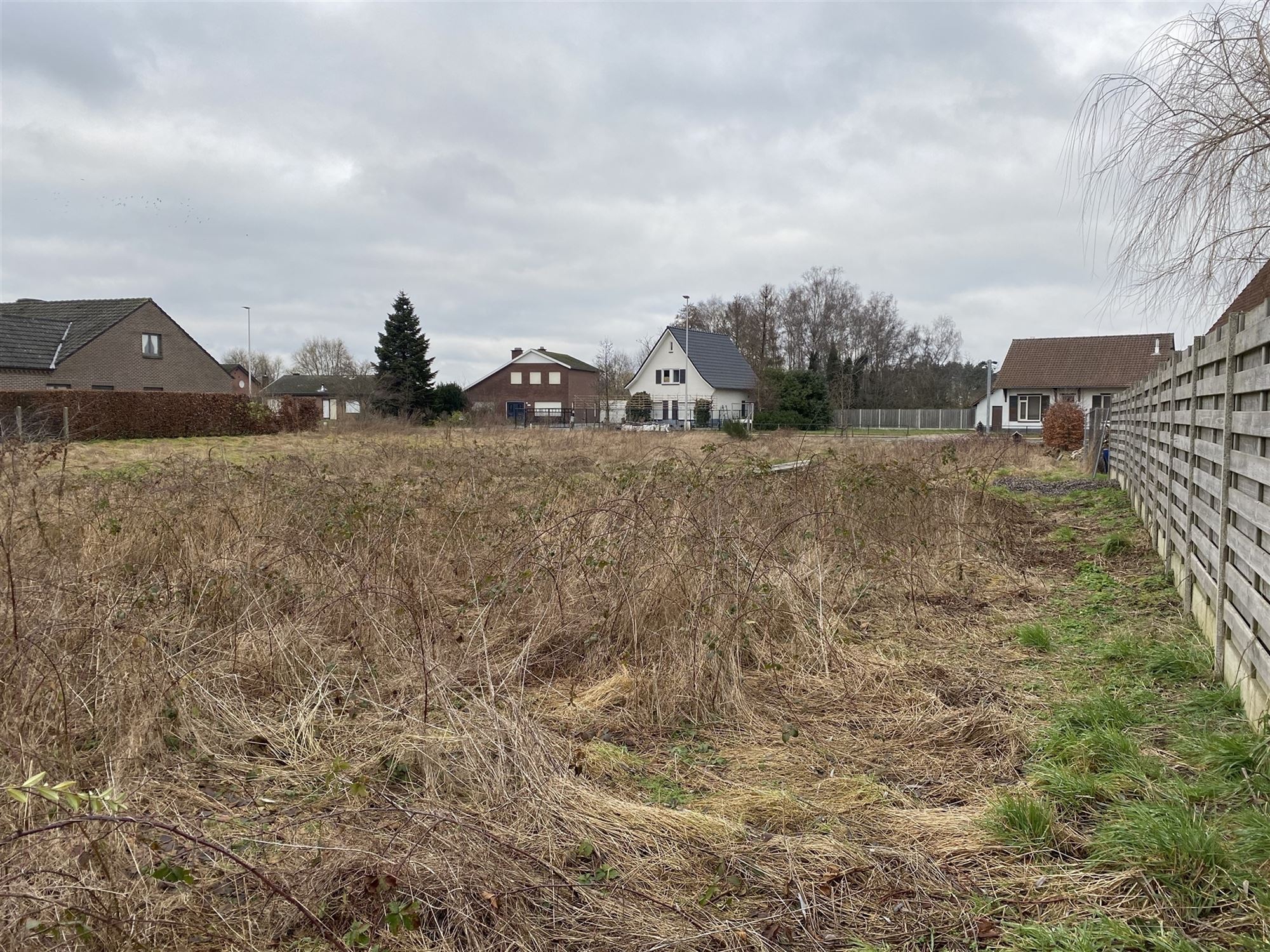 Terrain à vendre à Overpelt - photo 5