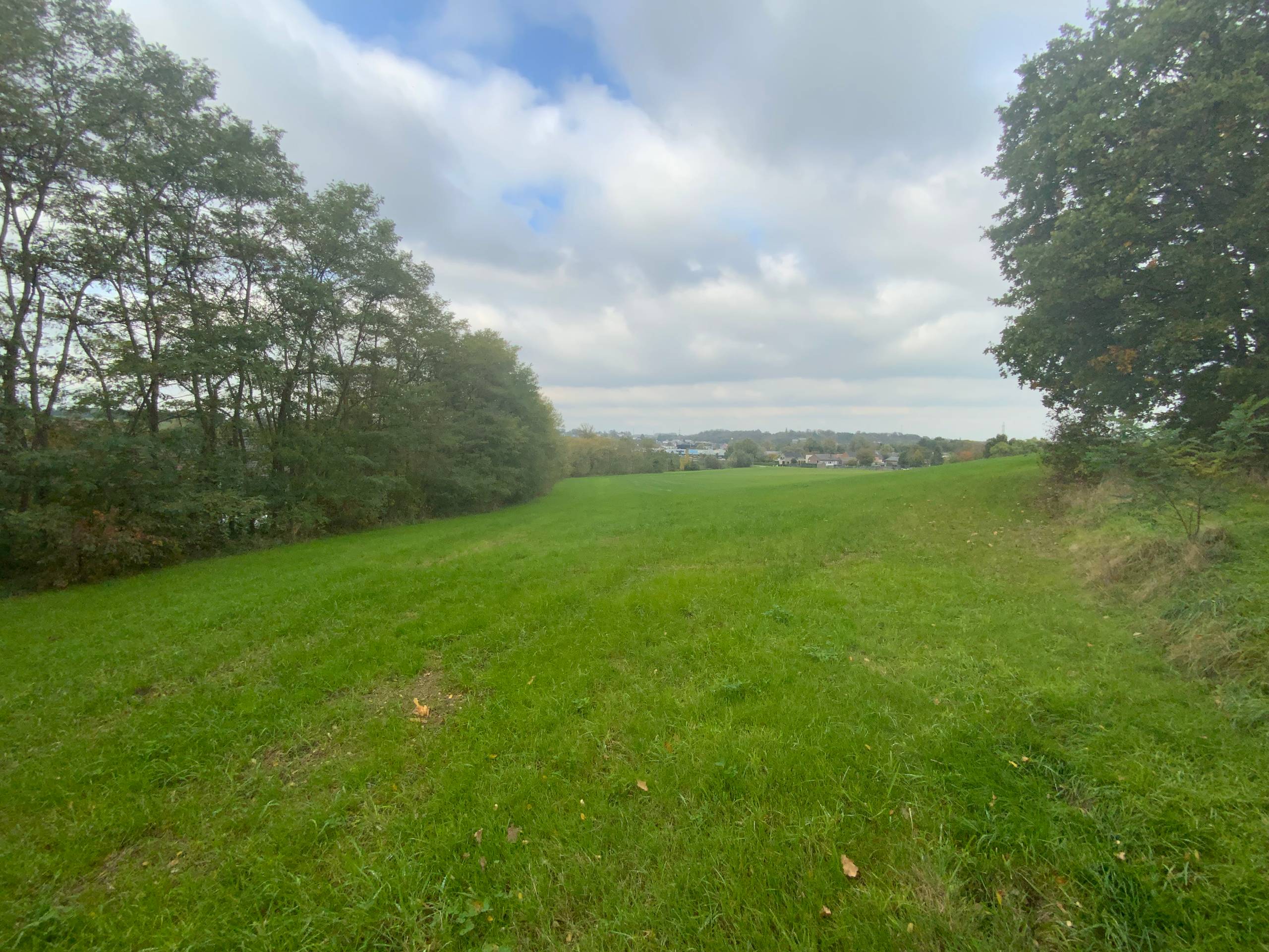 Landbouwgrond van 6ha 73are te koop in Diest - foto 4