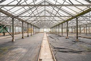 Op een rustig gelegen stukje landbouwgrond bevindt zich een ruime glazen serre met een oppervlakte van ongeveer 4000 m². Het terrein is...