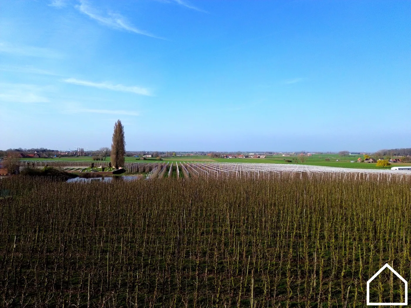 UNIEK STUK BOUWGROND OP 780M² GROND - foto 5