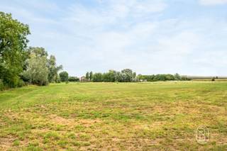 Op een landelijke ligging in Wielsbeke bevindt zich dit ruime perceel landbouwgrond met een totale oppervlakte van maar liefst 24.053 m² (ca. 2,4 hectare).Het perceel biedt een mooie opportuniteit voor landbouwers, investeerders of eigenaars die hun bestaande landbouwgronden wensen uit te breiden. Dankzij de aanzienlijke oppervlakte is de grond geschikt voor diverse agrarische doeleinden, steeds binnen de geldende stedenbouwkundige voorschriften.Een interessant aanbod voor wie op zoek is naar een ruim landbouwperceel in de regio Wielsbeke.Wenst u meer informatie over de ligging, bereikbaarheid of verdere mogelijkheden van deze landbouwgrond? Neem gerust contact met ons op.Te koop via Immo Beguin, jouw vastgoedexpert sinds 2009, met kantoren in Ronse, Waregem, Kortrijk, Deinze, Doornik, Lessines, Moeskroen en Nieuwpoort.Meer info via luna@immobeguin.be