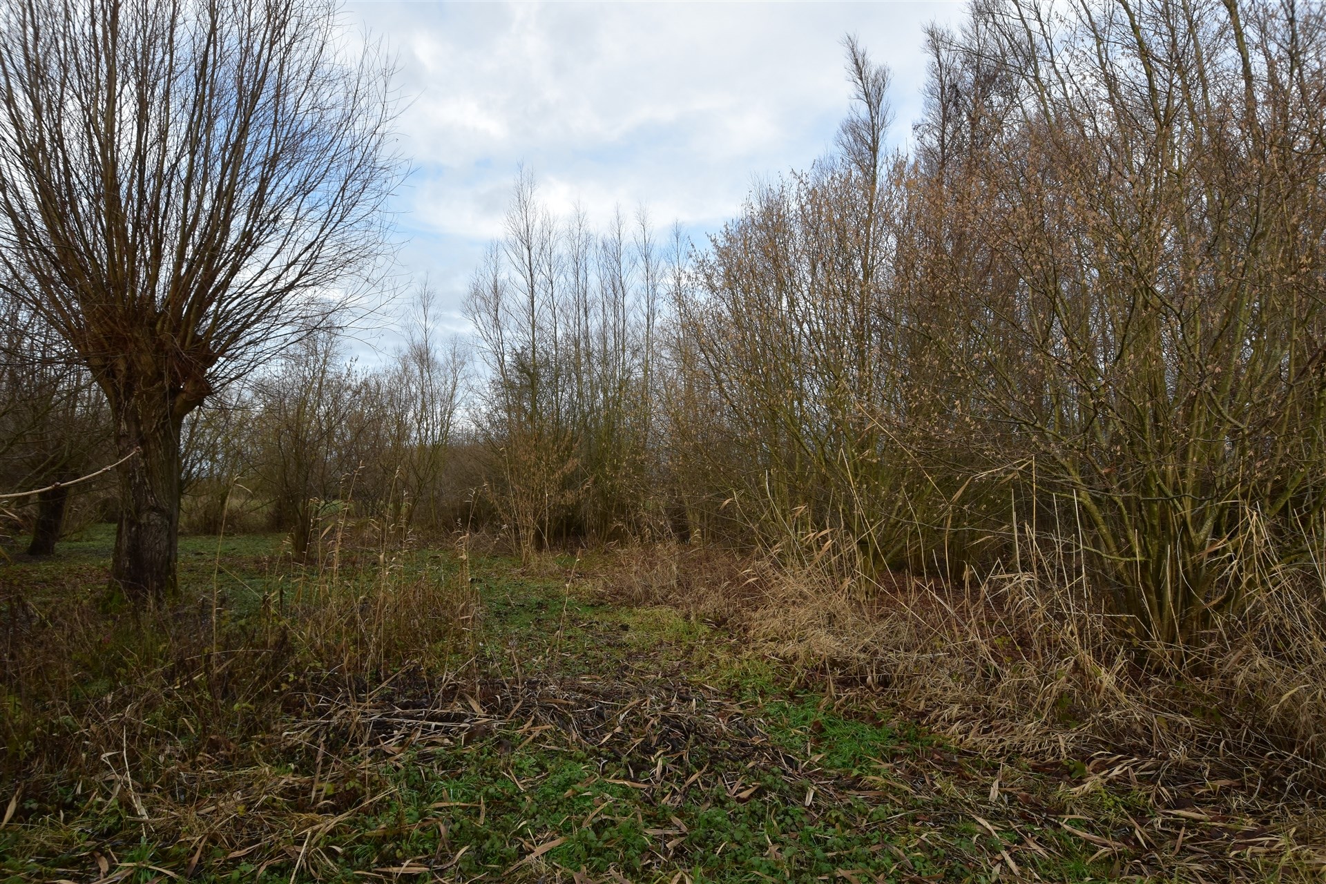 Land for sale in Dendermonde - photo 4