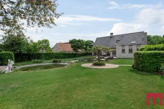 <p>Charmant wonen met ’n grote tuin. Willen we dat niet allemaal? Maarrrrr eerlijk is eerlijk: da’s niet altijd makkelijk om te vinden.</p>
<p>SURPRISE! Want wat op ’t eerste zicht al een groot stulpje lijkt, is in werkelijkheid euh…nóg groter. Deze vrijstaande villa beschikt namelijk over een vloeroppervlakte van 358m² , 5 mogelijke slaapkamers en een bureel. Daar kan je al iets mee toch?<br /><br /></p>
<p>Of ‘ie nieuw is, vraag je? Nee. Je gaat misschien nog wel zaken willen aanpakken, maar het fijne is dat het perfect instap klaar is. De eigenaar heeft bij de oprichting alvast het perfecte voorbeeld gegeven en heeft in de eerste plaats gekozen voor duurzame, kwaliteitsvolle materialen zoals natuurstenen vloer een eiken trap, binnendeuren en parket. Deze woning kreeg in 2023 een setje zonnepanelen en een nieuwe verwarmingsketel.</p>
<p>En heb je gespot dat de benedenverdieping al een ultrastijlvolle make-over kreeg? <br /><br />Indeling:</p>
<p>Of je je welkom voelt als je zo’n inkomhal binnenstapt? Absoluut! Niks mis met wat heerlijk degelijke grandeur, vinden wij. Een royale binnenstapper met lekker veel lichtinval en een gastentoilet: that’s the way we like it.</p>
<p>Om de hoek stappen we de woonkamer in langs de statige dubbele deur. En ja hoor, die grandeur loopt hier gewoon door, of wat had je gedacht? En heb je de ramen rondom gespot?<br /><br />Een ruime woonkamer met uitzonderlijk veel lichtinval en een panoramisch zicht op de tuin. Deze tuin is voorzien van een groot terras grenzend aan de keuken en woonkamer zoals dat tegenwoordig moet. Een vijver en een omheind deel voor de diertjes. Verder is er op de gelijkvloers nog de compleet ingerichte keuken, badkamer, kantoor en een eerste slaapkamer of zie je deze laatste kamer liever als <span>speelkamer of hobbykamer of een tweede kantoor beneden? Kies gerust wat jouw gezin nodig heeft. </span></p>
<p>Een wasberging met <span>aansluitingen voor wassen en drogen en een inpandige garage voor twee wagens maakt de benedenverdieping van deze villa compleet. </span></p>
<p>Dat is al heel wat, maarrrr we zijn er nog niet: er is namelijk nog een volledige bovenverdieping die zit te wachten op een nieuwe bewoner. hier vinden we nog 4 (slaap)kamers, een complete badkamer, afzonderlijk toilet. Heb je gezien dat twee slaapkamers beschikken over een terras?</p>
<p><span>Een laatste bonus om mee af te sluiten? Dit huis ligt in een groene en rustige omgeving in een prestigieuze buurt van Merksplas. </span></p>