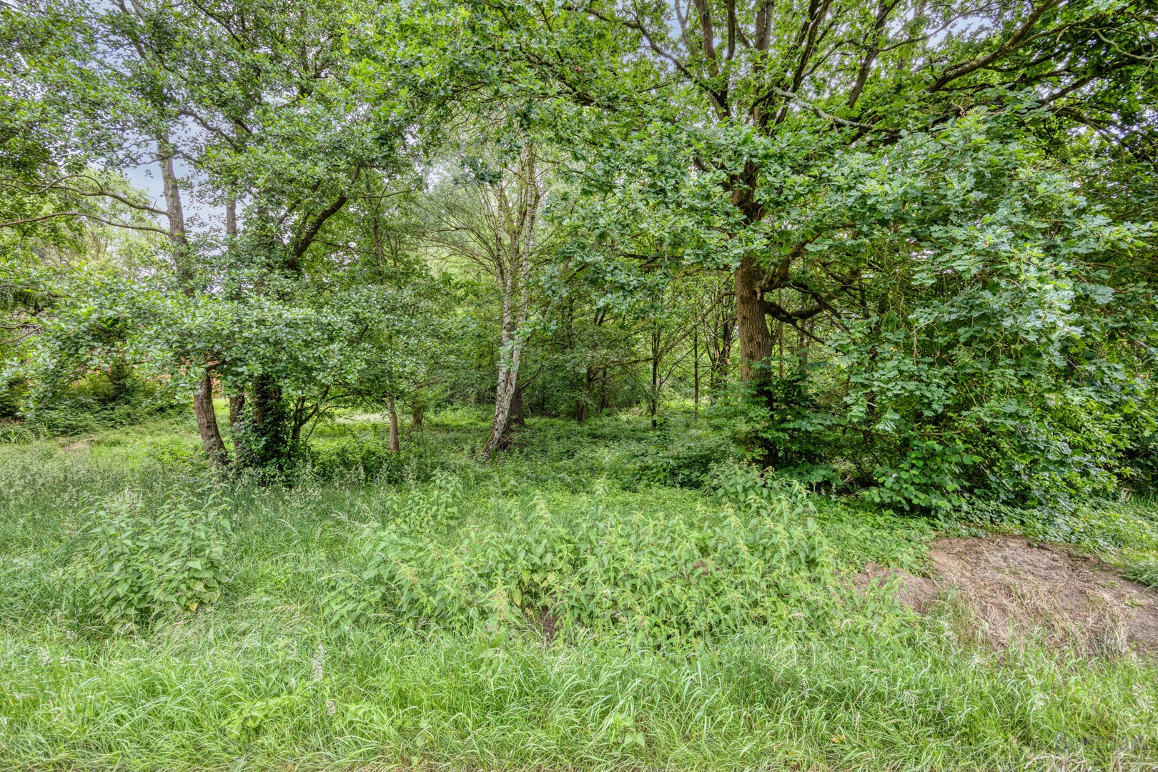 Bouwgrond op 16a 76ca te koop in Tessenderlo-Ham - foto 5