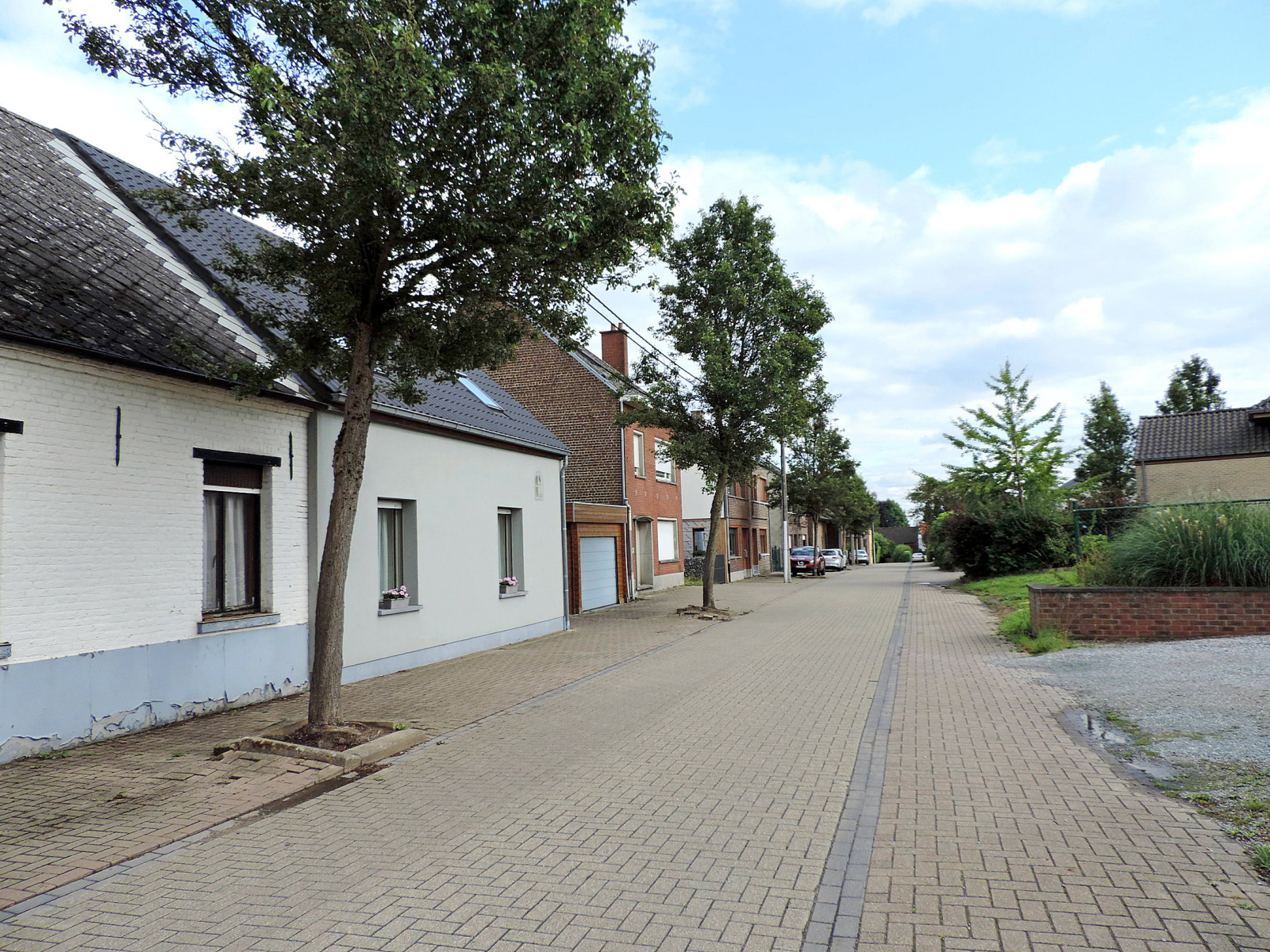 Een volledig gerenoveerde driegevelwoning met garage... - foto 4