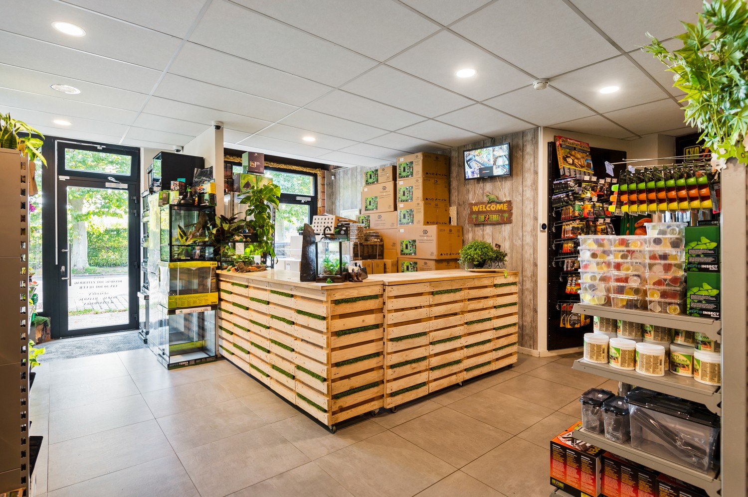 Ruim handelsgelijkvloers (208 m²) met brede etalage en buitenruimte (72 m²) in Kontich - foto 4