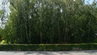Perceel bouwgrond van 8 are 50 ca voor open bebouwing met mooi achterzicht op groene omgeving. <br />West georiënteerd.<br />Gunstig gelegen vlakbij en op wandelafstand van centrum en scholen.<br />Perceelbreedte circa 15m.<br />Perceelsdiepte: circa 60m.<br />Bouwbreedte: 9m maximum - bouwdiepte: gelijkvloers 15m maximum en 12m maximum op verdieping.<br />Dakhelling tussen 0° plat dak en 45° hellend dak.<br />Kroonlijsthoogte: 6m50 maximum bij plat dak en 6m maximum bij hellend dak. <br />Geen bouwverplichting. <br />Opmetingskosten ten laste van kopers 1.800 euro.<br />Stedenbouwkundige vastgoedinformatie in aanvraag (woongebied en na 50m landschappelijk waardvol agrarisch gebied - geen maatregelen in het Vlaams handhavingsplatform).<br />Geen risicozone voor overstromingen - perceelscore C en achteraan op het perceel D fluviaal.