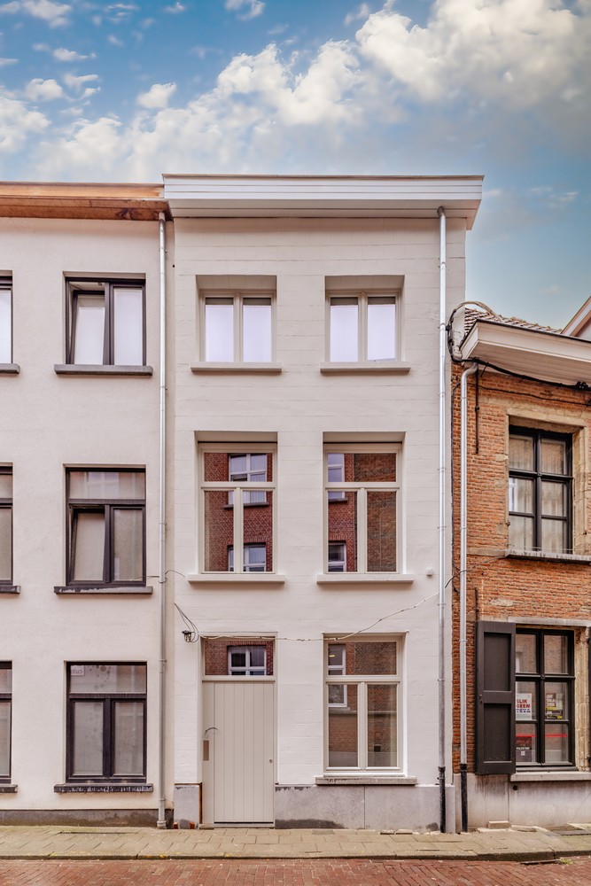 Energiezuinig wonen in een iconisch historisch pand - foto 3