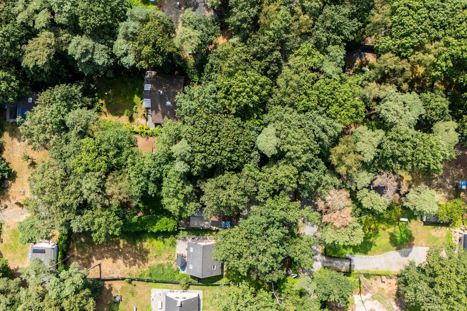 Bouwgrond te koop in het Kotsbos - foto 4