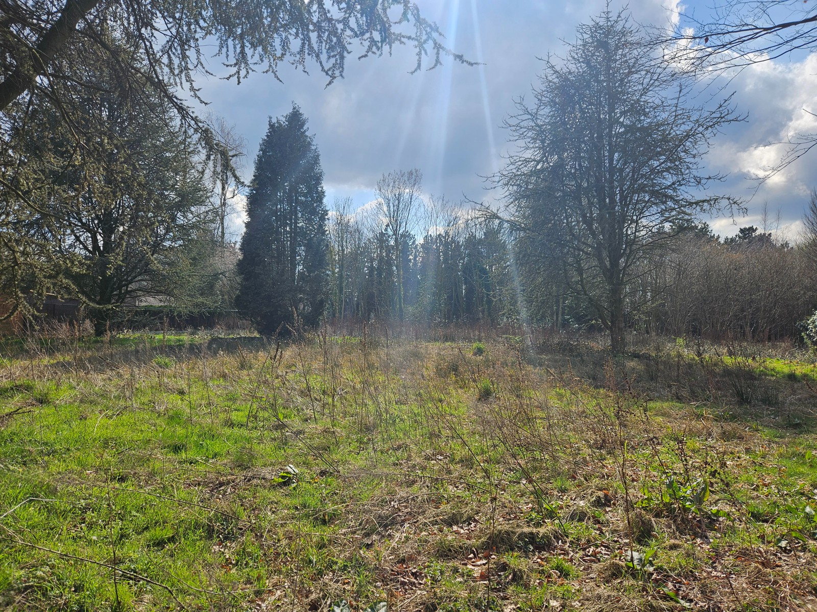 Bouwgrond voor halfopen bebouwing: 817,4 m² - foto 1