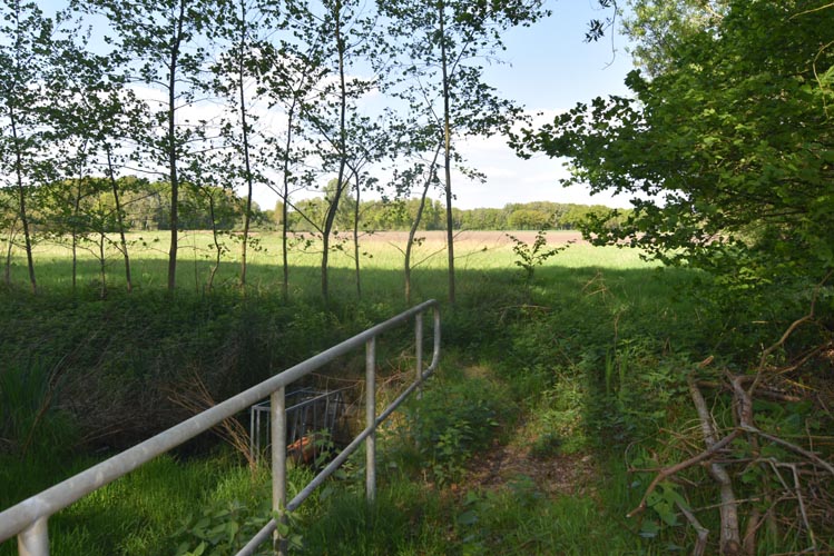 Terrain à vendre à Heist-Op-Den-Berg - photo 1