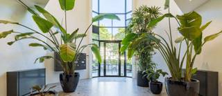 Kantoren te huur, ideaal gelegen in Etterbeek, vlakbij Montgomery, en met een uitzonderlijke ligging in het hart van Brussel, vlakbij de...