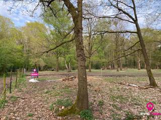 Terrain à vendre à Heusden-Zolder