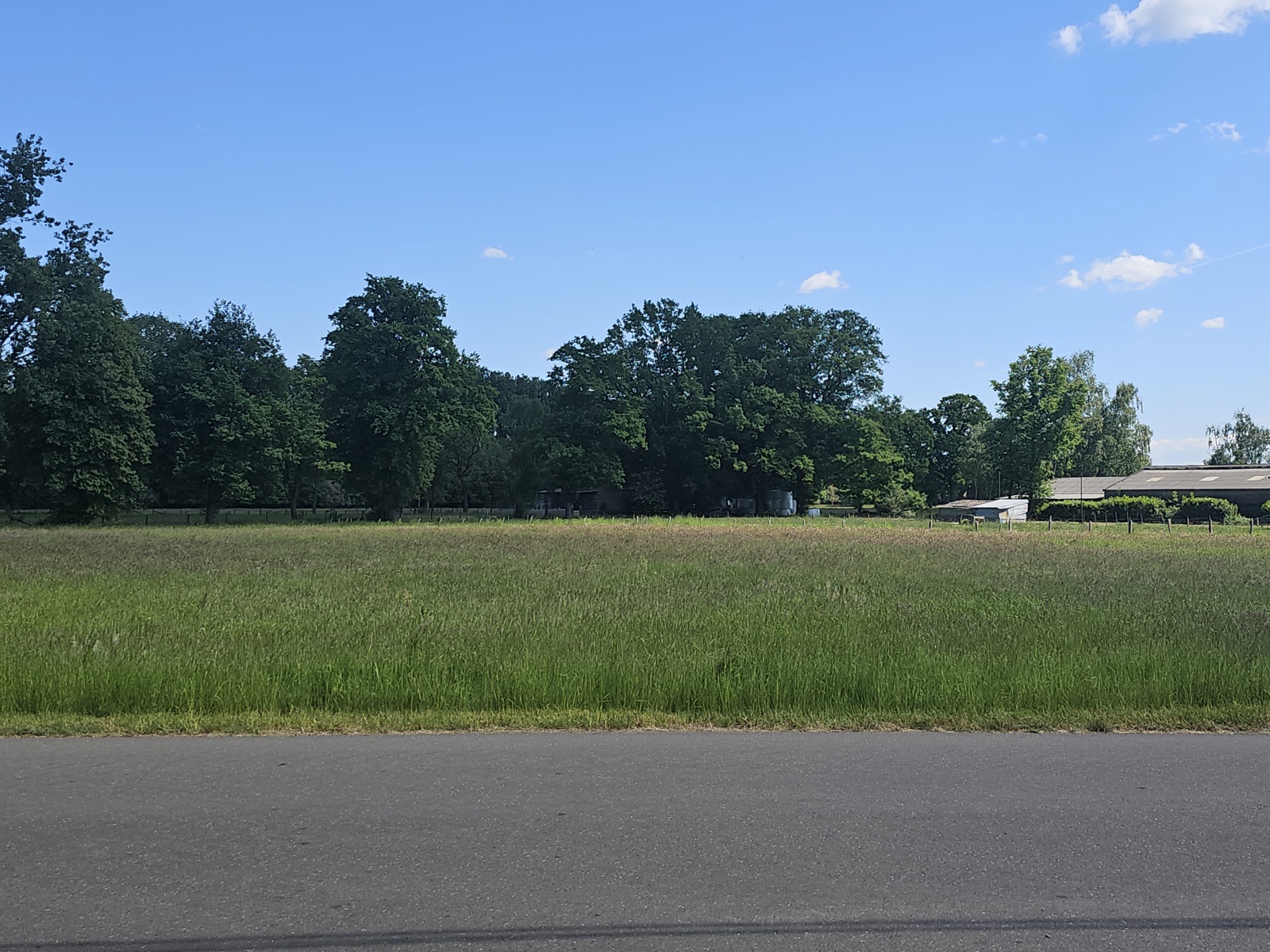 Landbouwgrond van 59a40ca. - foto 2