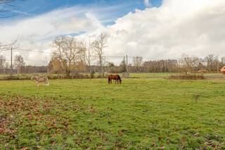 <p>Gelegen op een perceel van ca. 11.000 m² in bevindt zich deze hoeve met weiland en stallen aan de rand van Zoerselbos.<br />De woning combineert authentieke elementen met hedendaags comfort en is onder andere geschikt voor paardenliefhebbers. <br />Absolute rust, privacy en een uniek panoramisch vrij uitzicht zijn enkele troeven van dit eigendom.</p>
<p><strong><span>Hoofdgebouw</span></strong></p>
<p>Inkomhal met gastentoilet en vestiaireruimte - grote leefruimte met veel natuurlijke lichtinval ingedeeld in een zithoek open tot in de nok van het dak en voorzien van een O.H., een tv salon, eetkamer en een zeer ruime open en volledig geïnstalleerde keuken. De keuken is maatwerk en voorzien van Amerikaanse koelkast, een aanrecht en een groot kookeiland met zitruimte voorzien van een werkblad in Belgische blauwe natuursteen, ruime spoelbak - extra groot gasfornuis met 6 pitten, dubbele oven en dubbele dampkap. Aansluitend is er een berging en toegang tot de kelder.<br />Zowel vanuit de zithoek als de keuken is er via grote raampartijen zicht en toegang tot het terras en de tuin.</p>
<p>Op het gelijkvloers bevindt zich de hoofdslaapkamer met houtkachel. De ensuite badkamer is uitgerust met een ligbad, dubbele lavabo, inloopdouche en toilet. Daarnaast is er een aparte dressing. Via het schuifraam is er toegang tot het terras in bankirai.</p>
<p><span><strong>Verdieping</strong></span></p>
<p>De mezzanine staat in verbinding met de woonkamer. Een home office met zicht op de tuin is hier perfect mogelijk.</p>
<p>Op deze verdieping bevinden zich verder twee ruime slaapkamers. De badkamer is voorzien van een ligbad, lavabo en toilet. De plafonds reiken tot in de nok wat zorgt voor een ruimtelijk gevoel.</p>
<p><span><strong>Kelder</strong></span></p>
<p>De kelder van 28 m² biedt extra bergruimte.</p>
<p><span><strong>Buitenruimte en paardenfaciliteiten</strong></span></p>
<p>Het achterliggende perceel biedt diverse mogelijkheden en beschikt over een stalling voor twee tot drie paarden.</p>
<p>Achter de boomgaard bevindt zich een ruime carport van 7m x 10,5m met extra garage.</p>
<p><span><strong>Bijgebouw</strong></span></p>
<p>Het bijgebouw van Heritage Buildings is voorzien van een haard en kan dienen als ontspanningsruimte, lounge, hobbyruimte of werkplek.</p>
<p><span><strong>Bijzonderheden</strong></span></p>
<p>Vloerverwarming op aardgas (glvl) en combinatie verwarming/airco op verdieping (radiatoren mogelijk) - raamwerk in hout en aluminium - dubbele beglazing - overal massieve eiken plankenvloer - EPC 232 kWh/m² - UC 20250819-0003666936-RES-1 - elektriciteit niet conform - woning is asbestvrij - Vg-Ag-Gvv-Gvkr-Gmo-Gworg.</p>