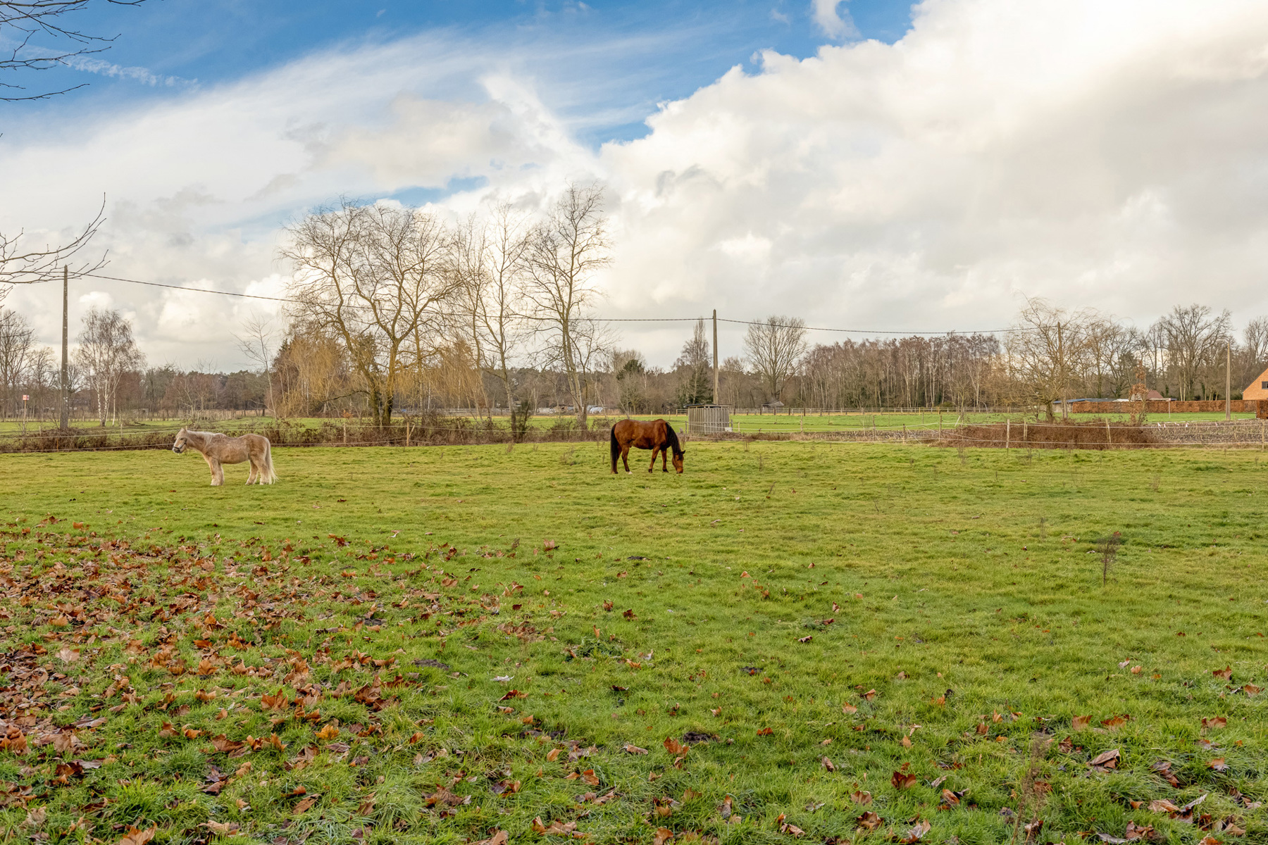 Hoeve met weiland en stallen op ca. 11 000 m² op de rand van Zoerselbos - foto 2