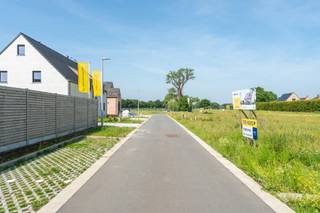 lot 7 - VS