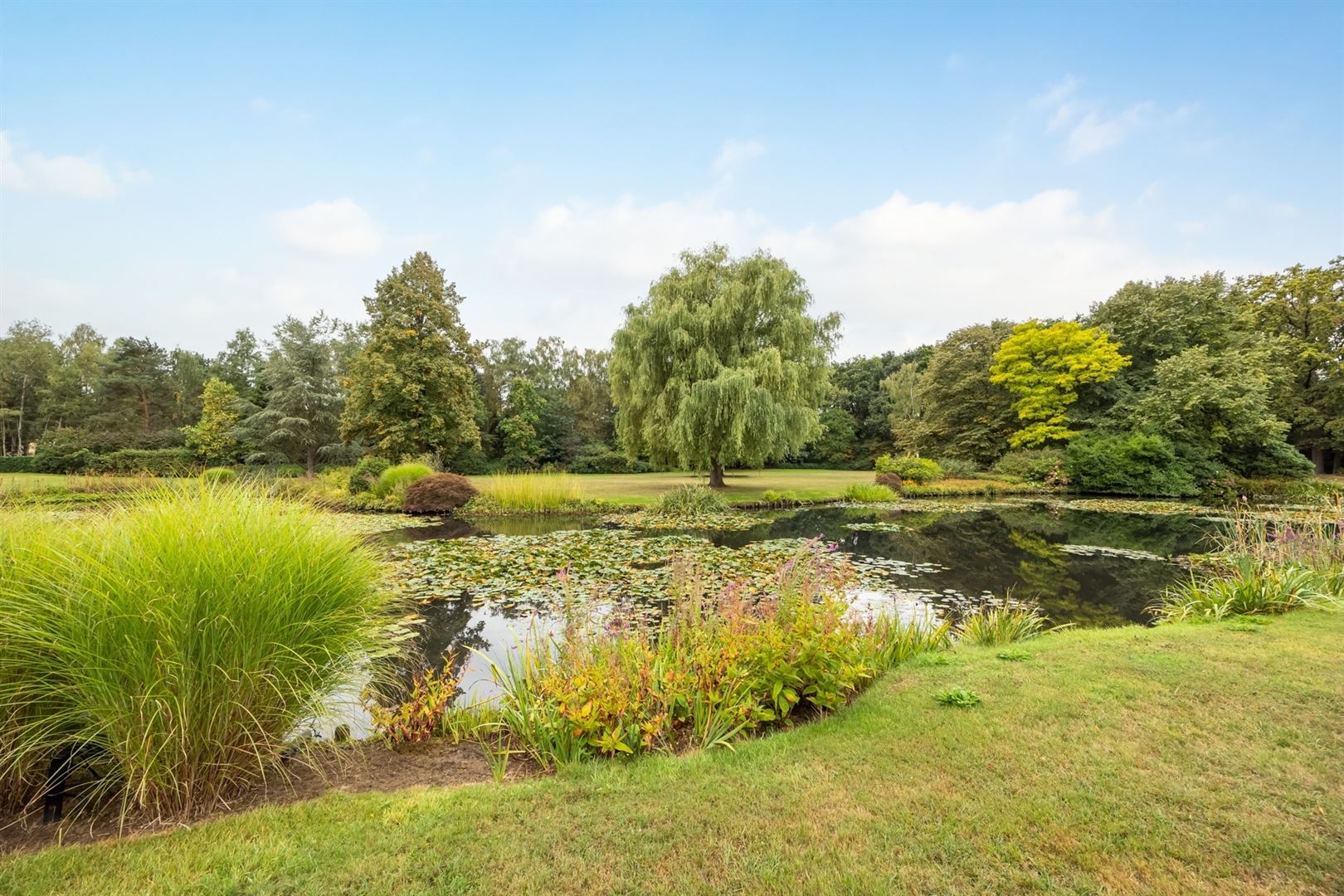 Ground floor - photo 4