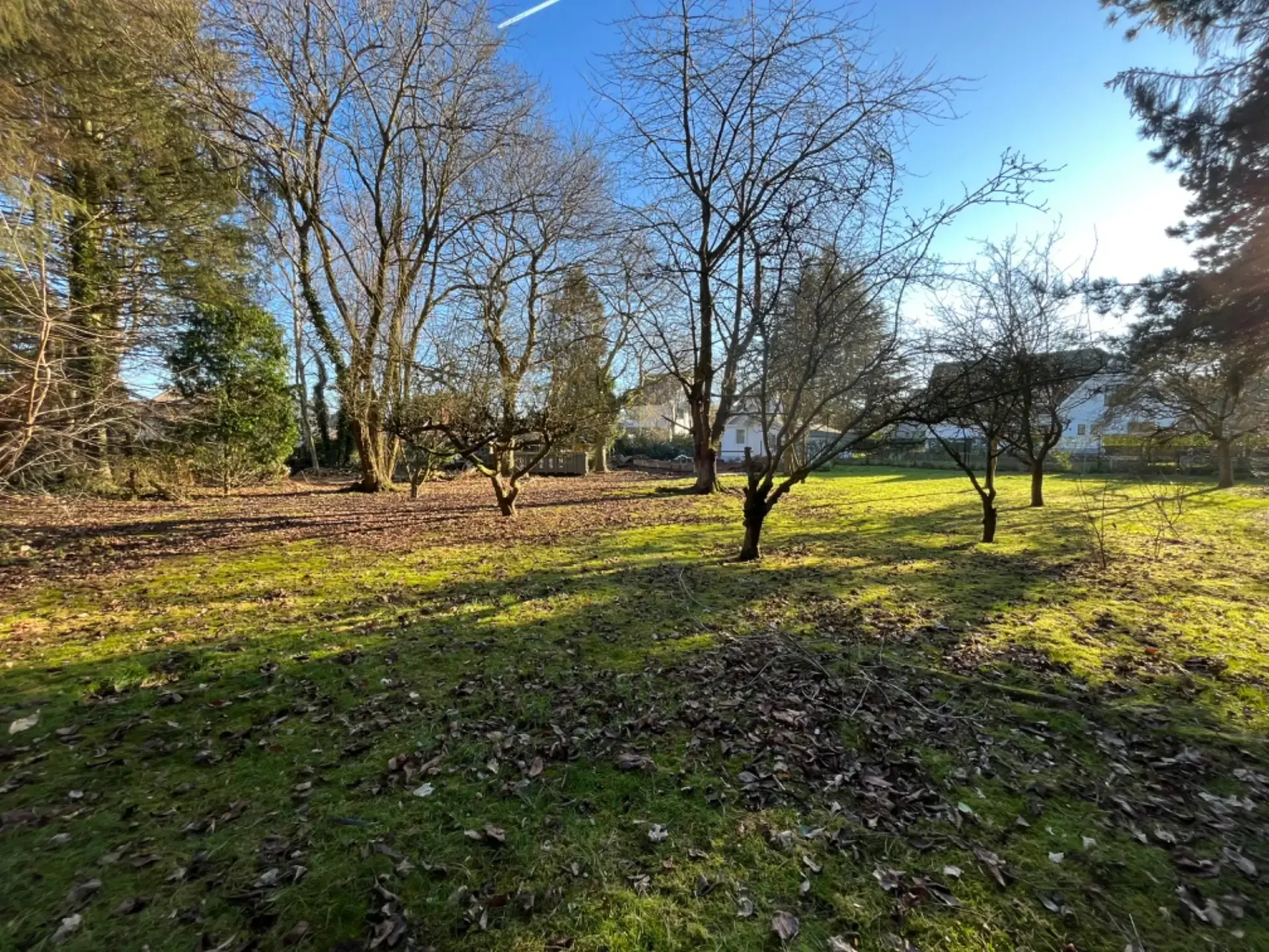 Uitzonderlijke bouwgrond in Stockel – 21 are - foto 2