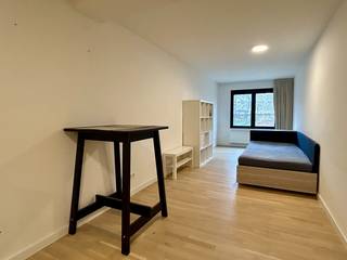 Deze energiezuinige studio (EPC-label B) werd in 2018 volledig gerenoveerd en is instapklaar. Gelegen in de Sint-Lambertusstraat in Heverlee geniet u hier van een uitstekende ligging vlakbij Leuven, met het station van Heverlee op wandelafstand en winkels, openbaar vervoer en faculteiten in de onmiddellijke omgeving.<br />De studio bevindt zich in een mooi en goed onderhouden gebouw en is achteraan rustig gelegen, met aangenaam zicht op de groene gemeenschappelijke tuin. De indeling bestaat uit een open kitchenette met eet-, leef- en slaapruimte in één harmonieus geheel en een aparte badkamer met douche, wastafel en toilet. De elektriciteit is conform, wat samen met het gunstige EPC-label zorgt voor extra comfort en energiezuinigheid.<br />Daarnaast beschikt u over een privatieve fietshaak in de afgesloten gemeenschappelijke fietsenberging en een ruime gemeenschappelijke keuken met gezellige zithoek, ideaal om te socializen. Vanuit deze ruimte heeft u toegang tot de prachtige, groene stadstuin.<br />Maandelijkse lasten: € 90, inclusief een provisie voor water- en verwarmingsverbruik. <br />Kortom, een ideale investering, perfect voor studerende kinderen of om zelf comfortabel en zorgeloos te wonen op een toplocatie nabij Leuven.