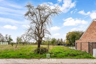 Terrain à vendre à Tongres-Borgloon