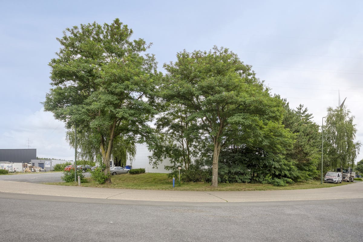Patrimoniumvennootschap met drie bedrijfshallen en penthouse - foto 5