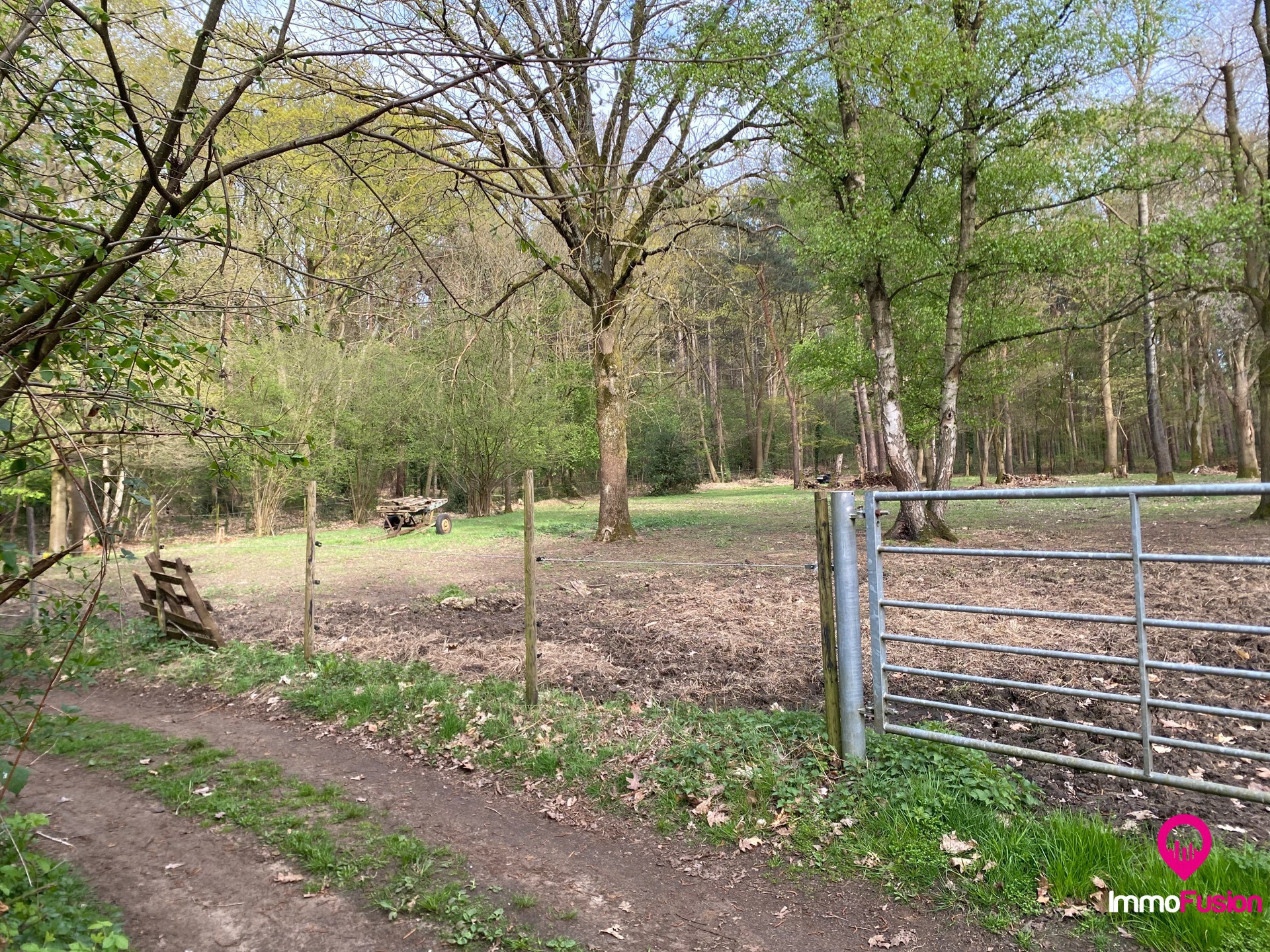 Ideale weide voor dierenliefhebbers in landelijke omgeving - foto 4