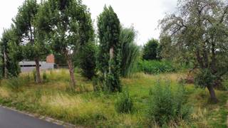 <h2>3 bouwgronden te koop in Deerlijk</h2>
<p>Op zoek naar de ideale bouwgrond voor jouw toekomstige woning? In Deerlijk bieden wij drie mooi gelegen, reeds verkavelde bouwgronden aan voor zowel halfopen als open bebouwing.</p>
<h3> </h3>
<h3><u>Beschikbaar</u></h3>
<h3>Open bebouwing</h3>
<ul><li>Bouwgrond 1 (kavel 1a): 828 m² – €199.000</li></ul>
<p>Halfopen bebouwing</p>
<ul><li>Bouwgrond 2 (kavel 2a): 670 m² – €175.000</li><li>Bouwgrond 3 (kavel 3a): 661 m² – €172.500</li></ul>
<p>Bouwvoorschriften : 20 meter diep voor het gelijkvloers, 12m diep voor de verdieping, , zijkavelgrens 3 m , afstand tot de rooilijn 6m, bijgebouw van 40m2 mogelijk</p>
<h3> </h3>
<h3>Troeven</h3>
<p>-Reeds verkaveld en bouwklaar</p>
<p>-Centrale ligging nabij winkels, scholen en de E17</p>
<p>-Ruime bouwmogelijkheden</p>
<p>-Ideale combinatie van bereikbaarheid en rustig wonen</p>
<p> </p>
<p>De bouwvoorschriften zijn verkrijgbaar op ons kantoor.</p>
<p>Interesse of wens je meer informatie? Neem gerust contact op met Sofie Bossuyt via 0474 222 182.</p>