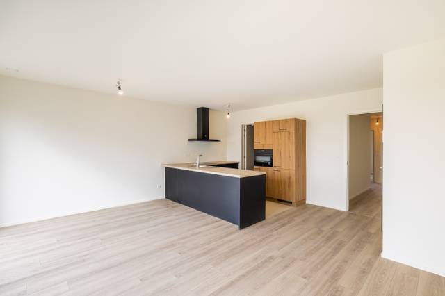 Project te koop in Blaasveld