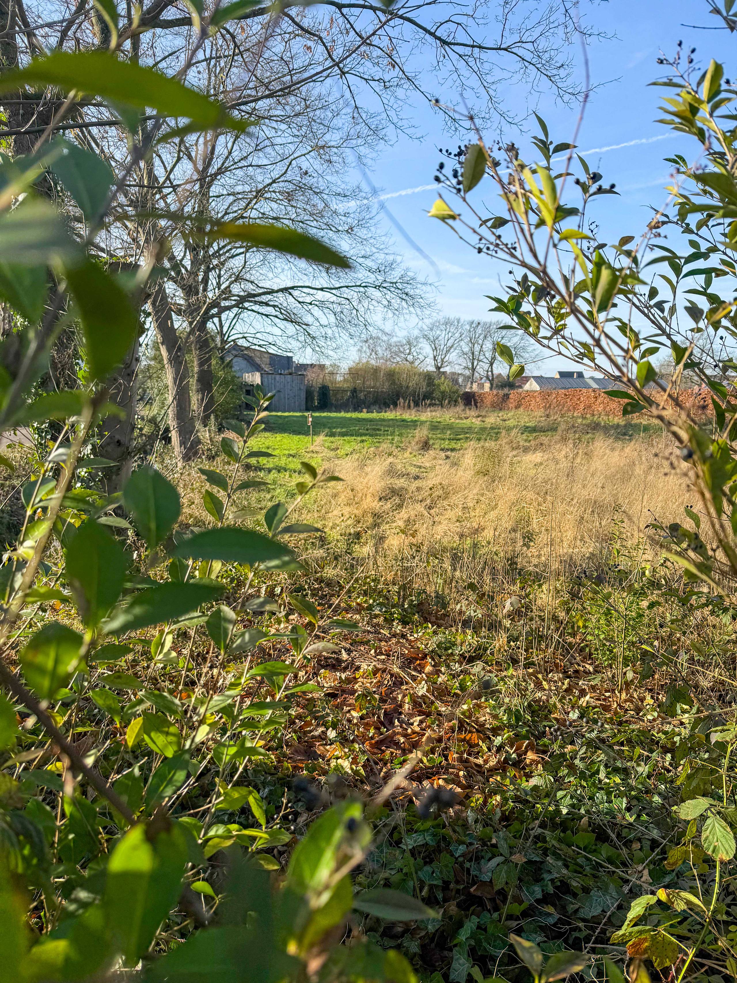 Terrain à vendre à Zoersel - photo 5