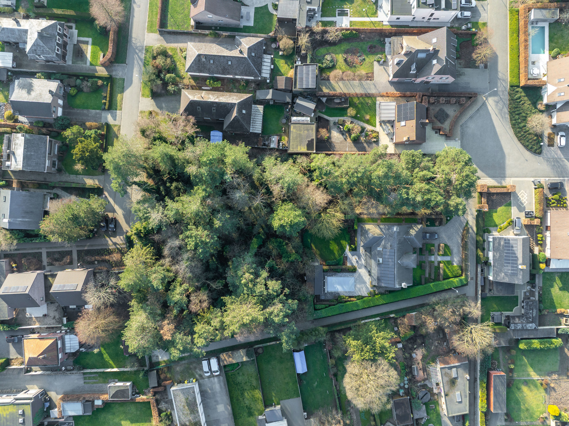 Land for sale in Nijlen - photo 4