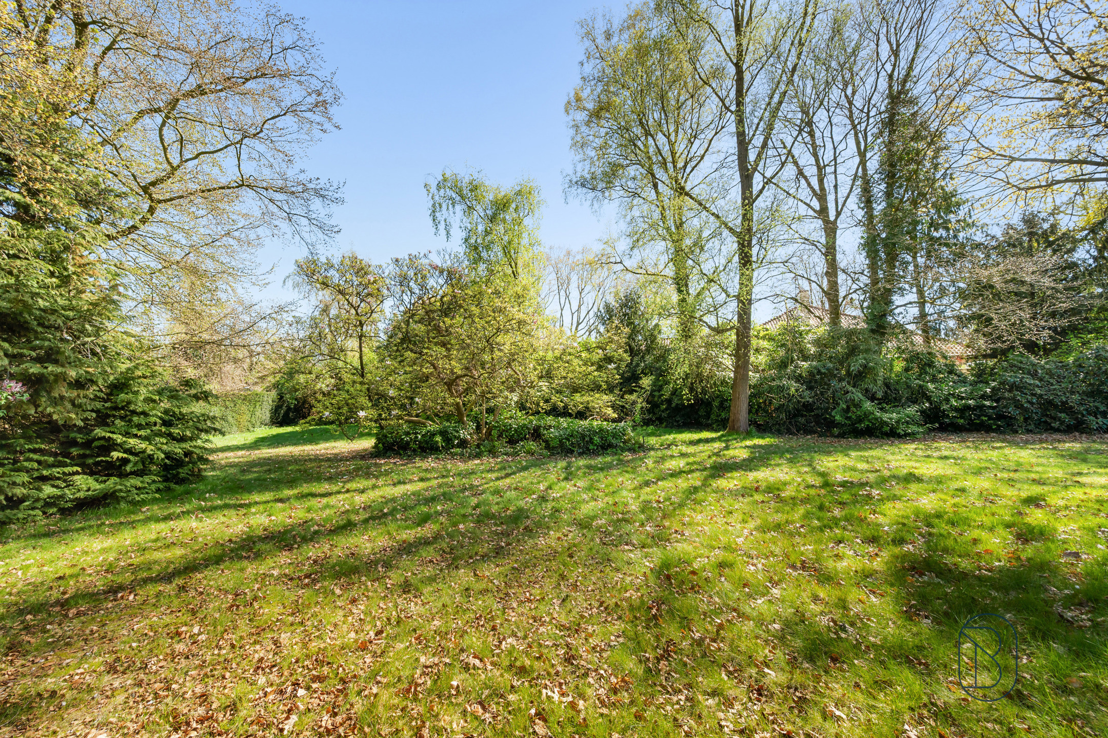 Topgelegen in de Rodenburg: te renoveren/af te breken villa - foto 3