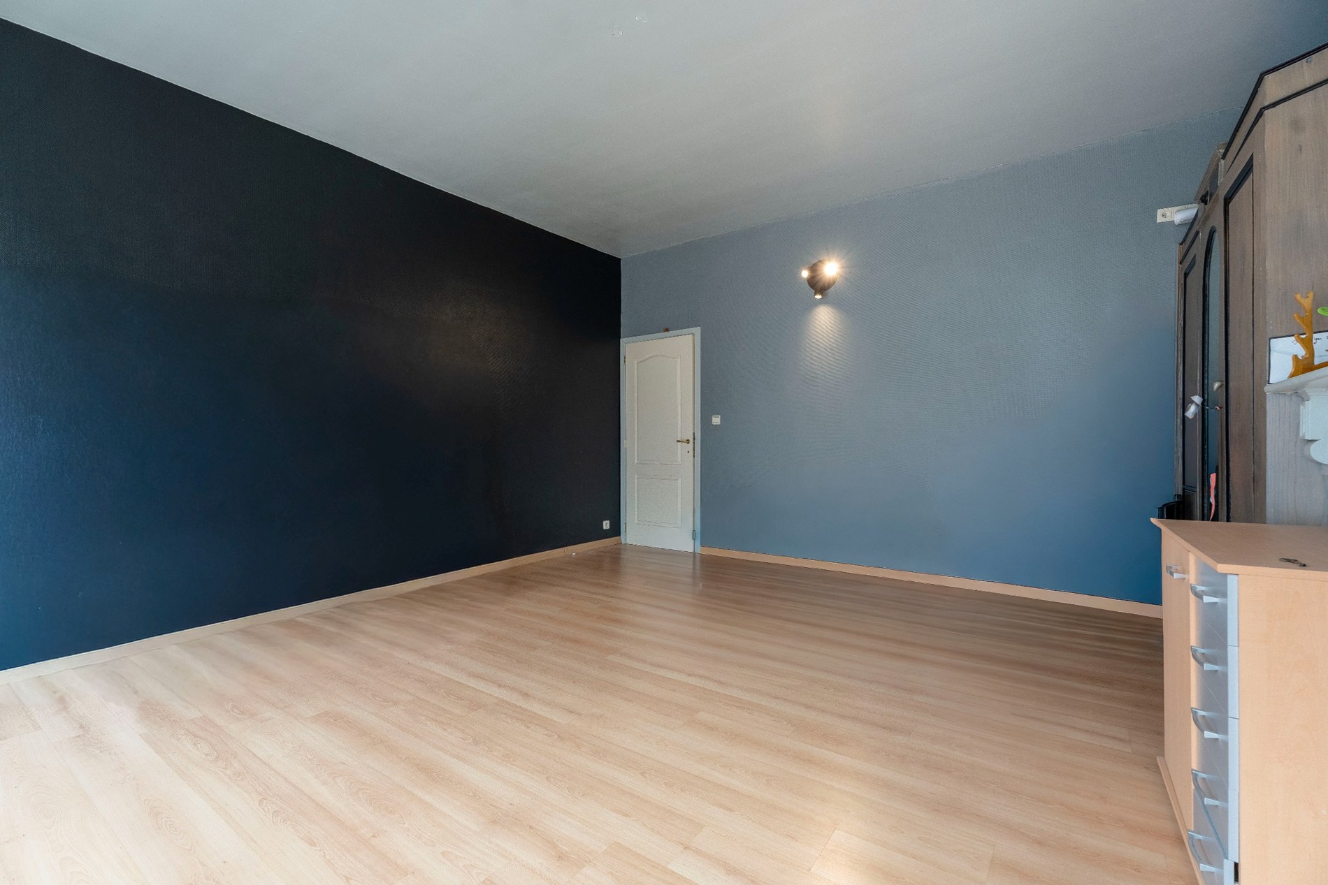 Ruime instapklare woning met uitweg, carport, tuin en studioruimte. - foto 4