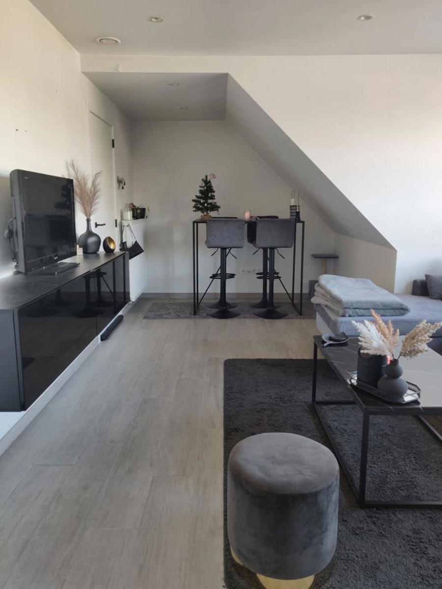 Recent appartement te Branst nabij Scheldedijk - foto 4