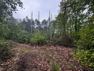 In een rustige en bosrijke omgeving langs Beerseheide te Lille bevindt zich dit perceel bosgrond met een oppervlakte van 2.870 m².De ligging wordt...