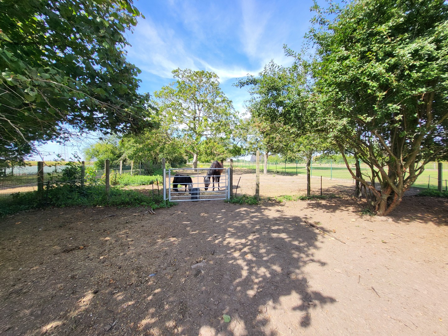 Karaktervolle eigendom met uitzonderlijk potentieel, paardenstal en 2 ruime garages op 2.550 m², met 248 m² bewoonbare oppervlakte. - foto 4
