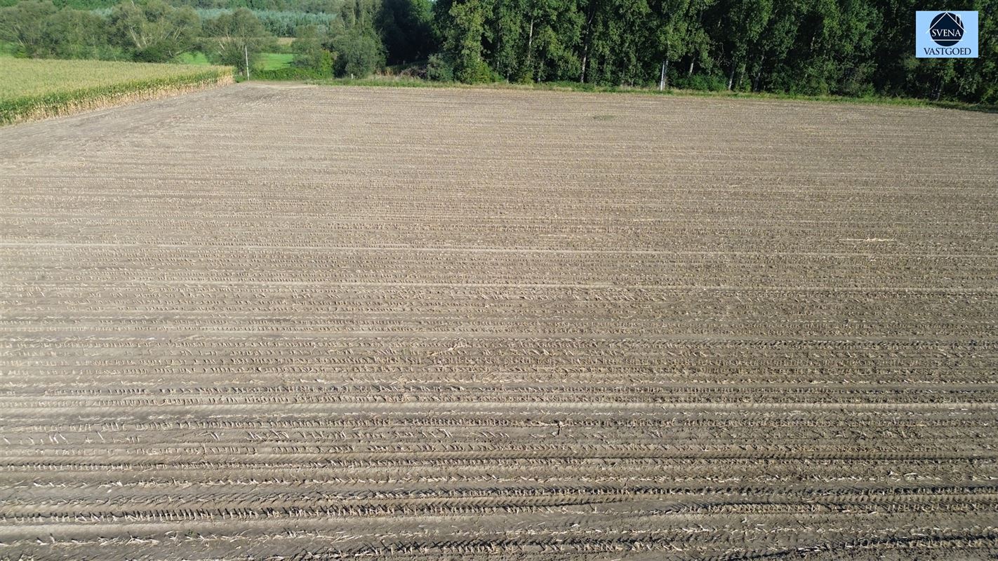 LANDBOUWGROND GELEGEN TE VIANE - foto 2