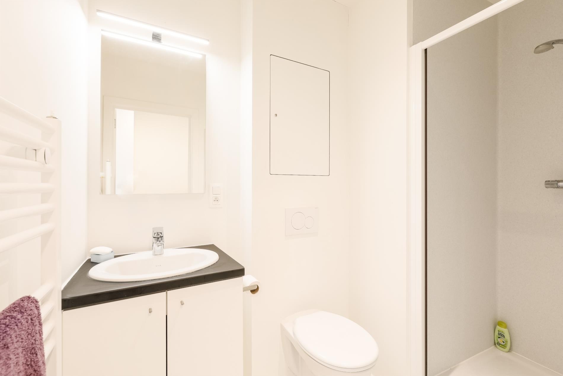 Apartment for rent in Leuven - photo 4