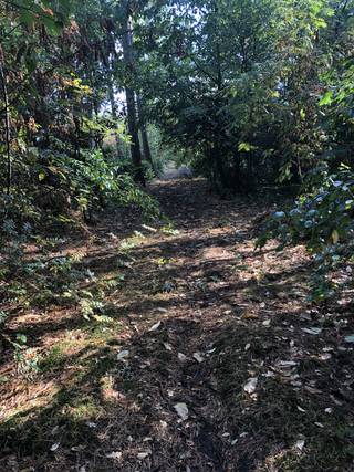 Ontdek deze unieke investeringsmogelijkheid in een recreatie grond te Herenthout! Dit ruime stuk grond van 1057 m². Gelegen in een natuurlijke...