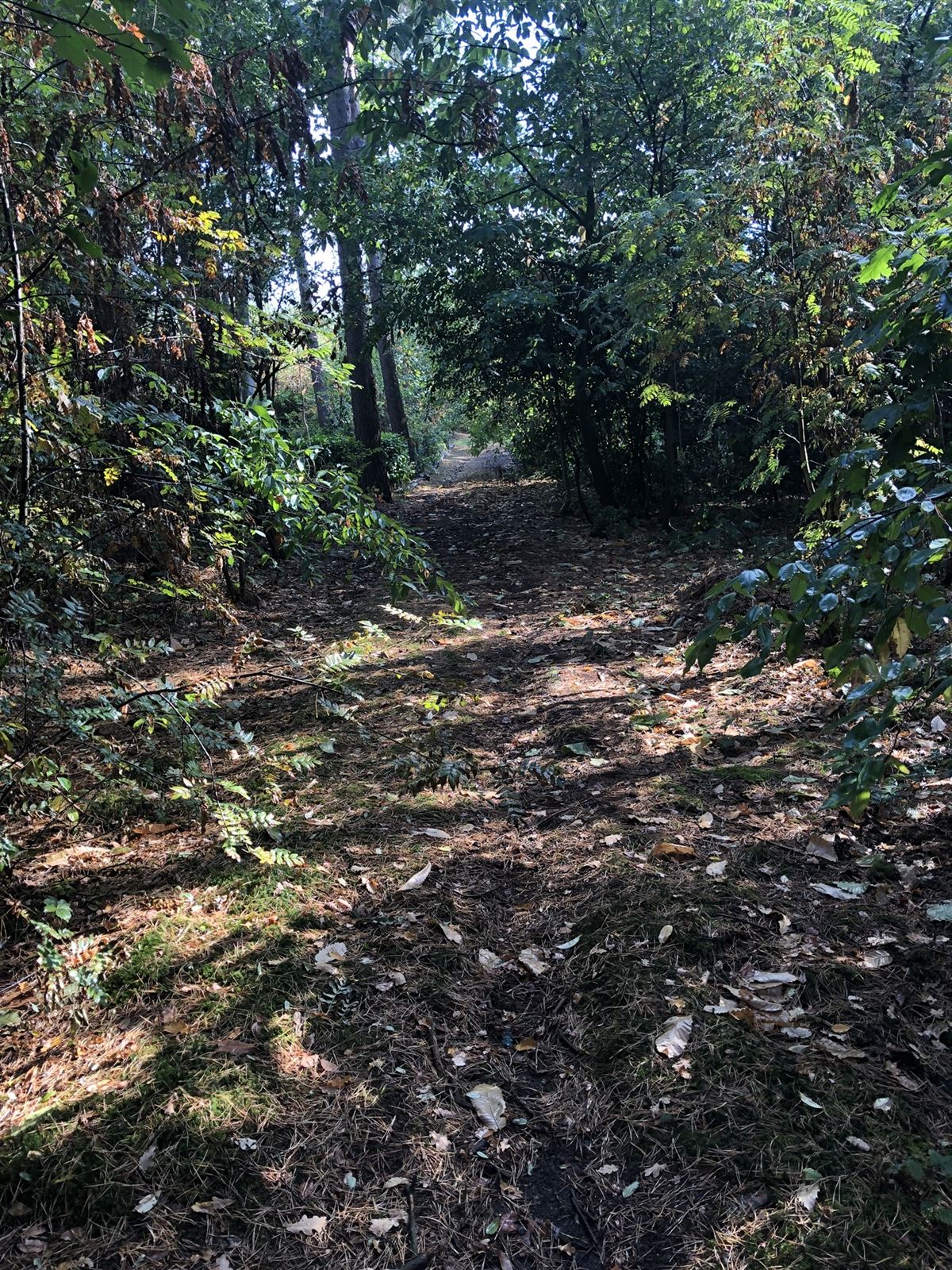 recreatief terrein - foto 2