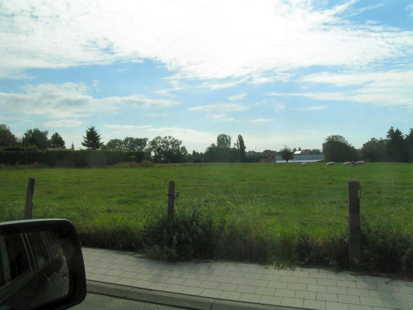 Terrain à vendre à Asse - photo 4