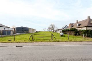 Contactez Pieter Cardoen au 0475 36 12 52 ou à l'adresse pieter@cornelis-goeman.beSitué à Schendelbeke, une commune de Grammont- Terrain à bâtir (tel...