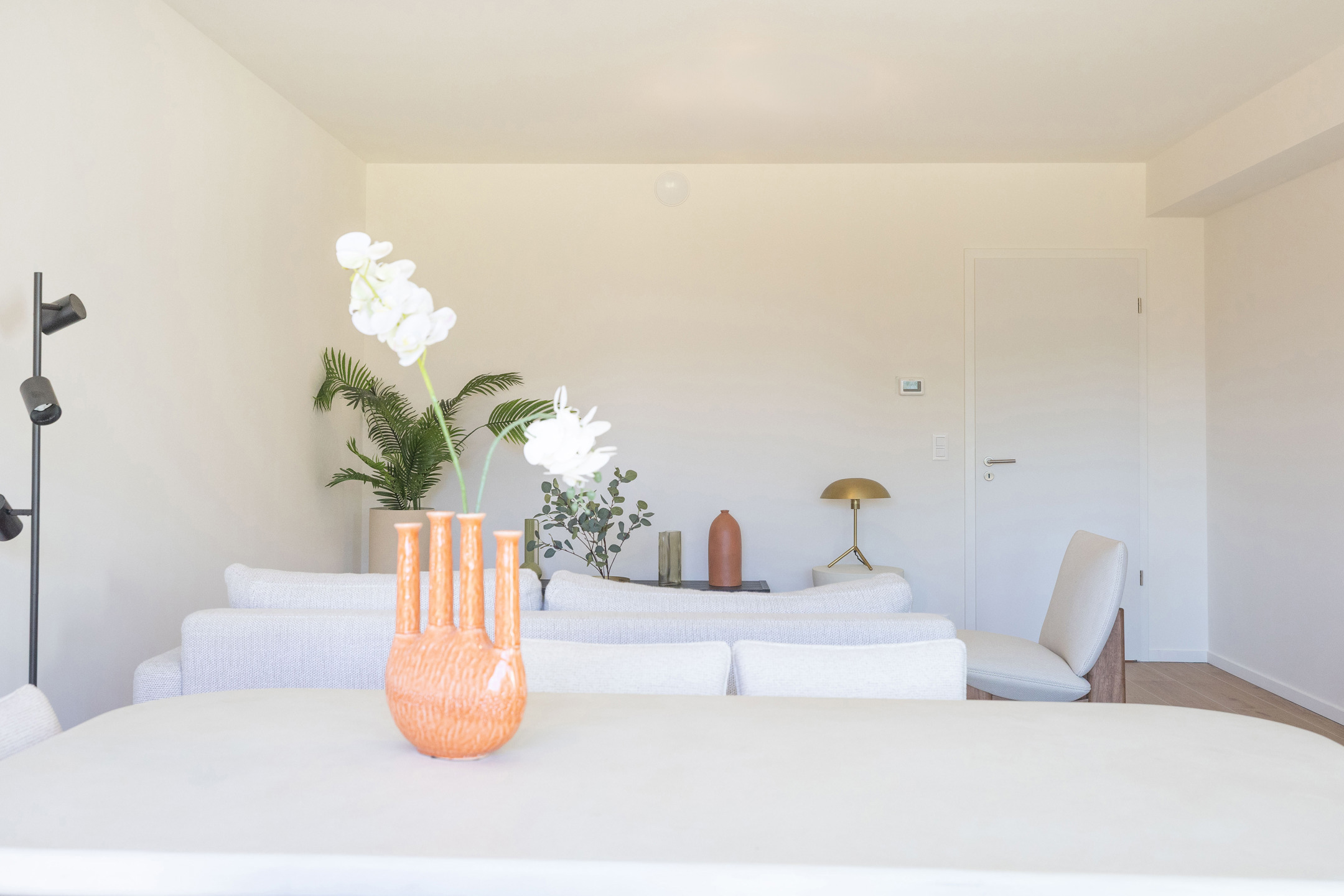 Project te koop in Sint-Agatha-Berchem - foto 5