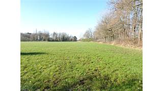 Perceel landbouwgrond met een oppervlakte van 20.252 m2 gelegen in agrarisch gebied.agrarisch gebied, geen voorkooprecht, geen dagvaarding, geen...