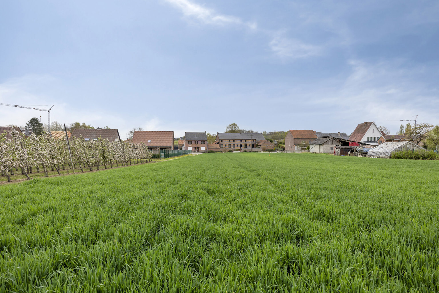 Terrain à vendre à Glabbeek - photo 4