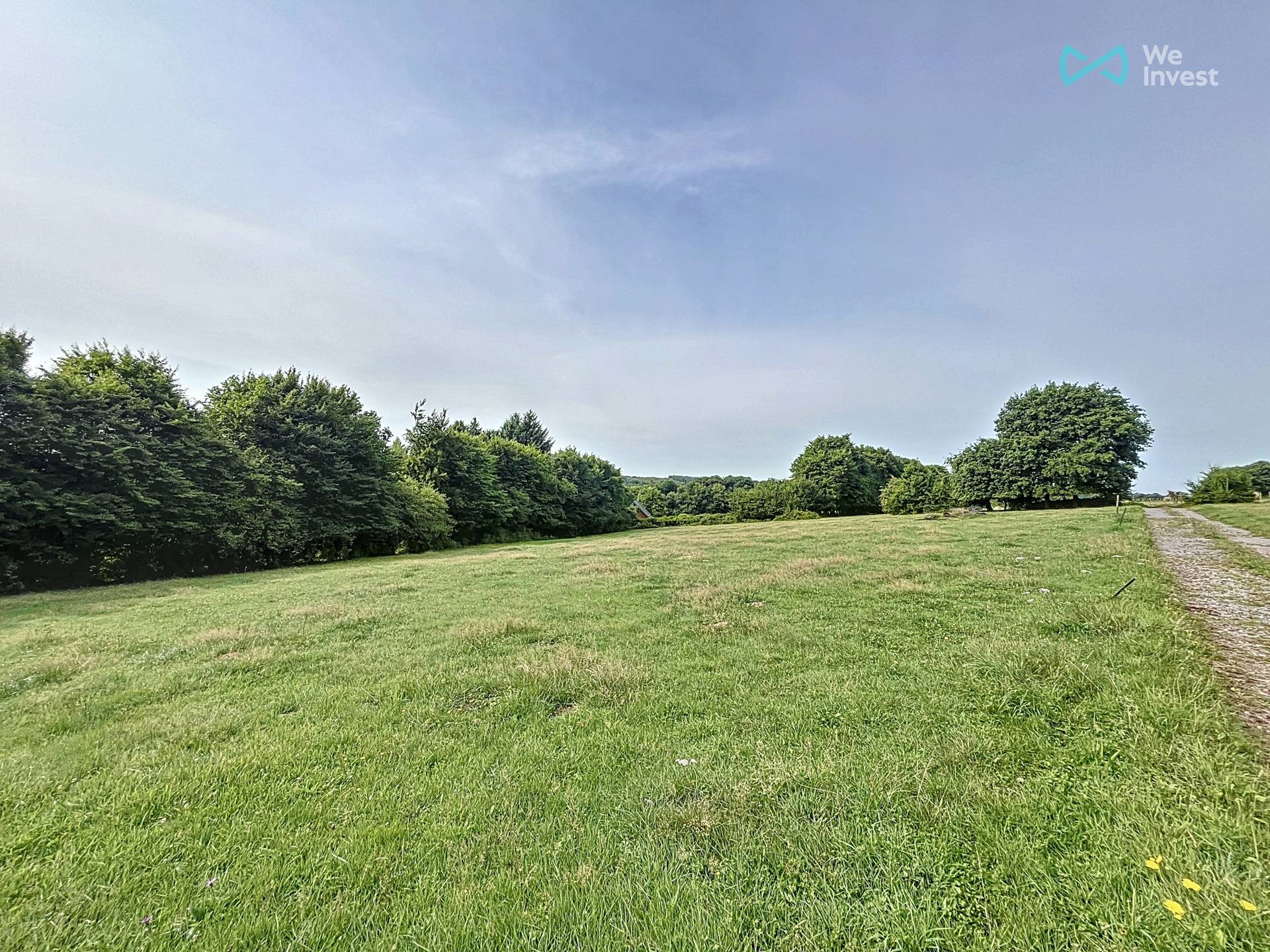 Grond te koop in Chimay - foto 1