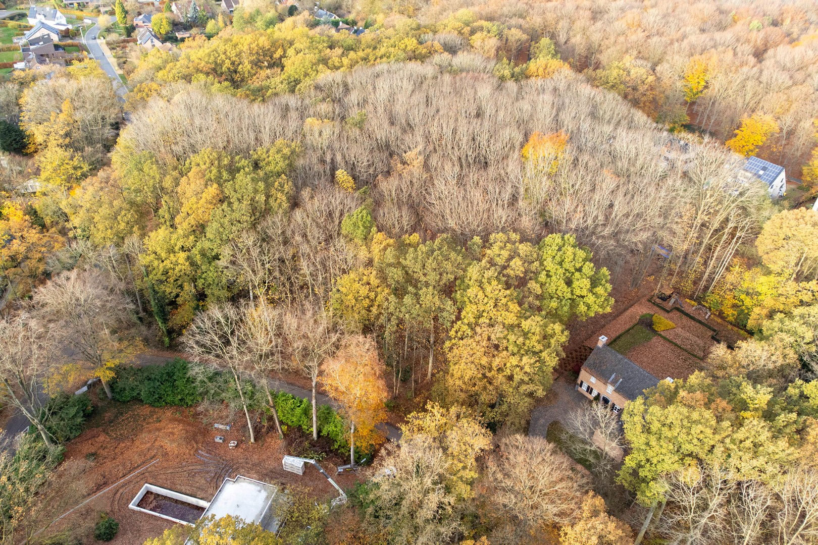 Prachtige bouwgrond van 22a 63ca te koop op een toplocatie in Hoog-Linden! - foto 5