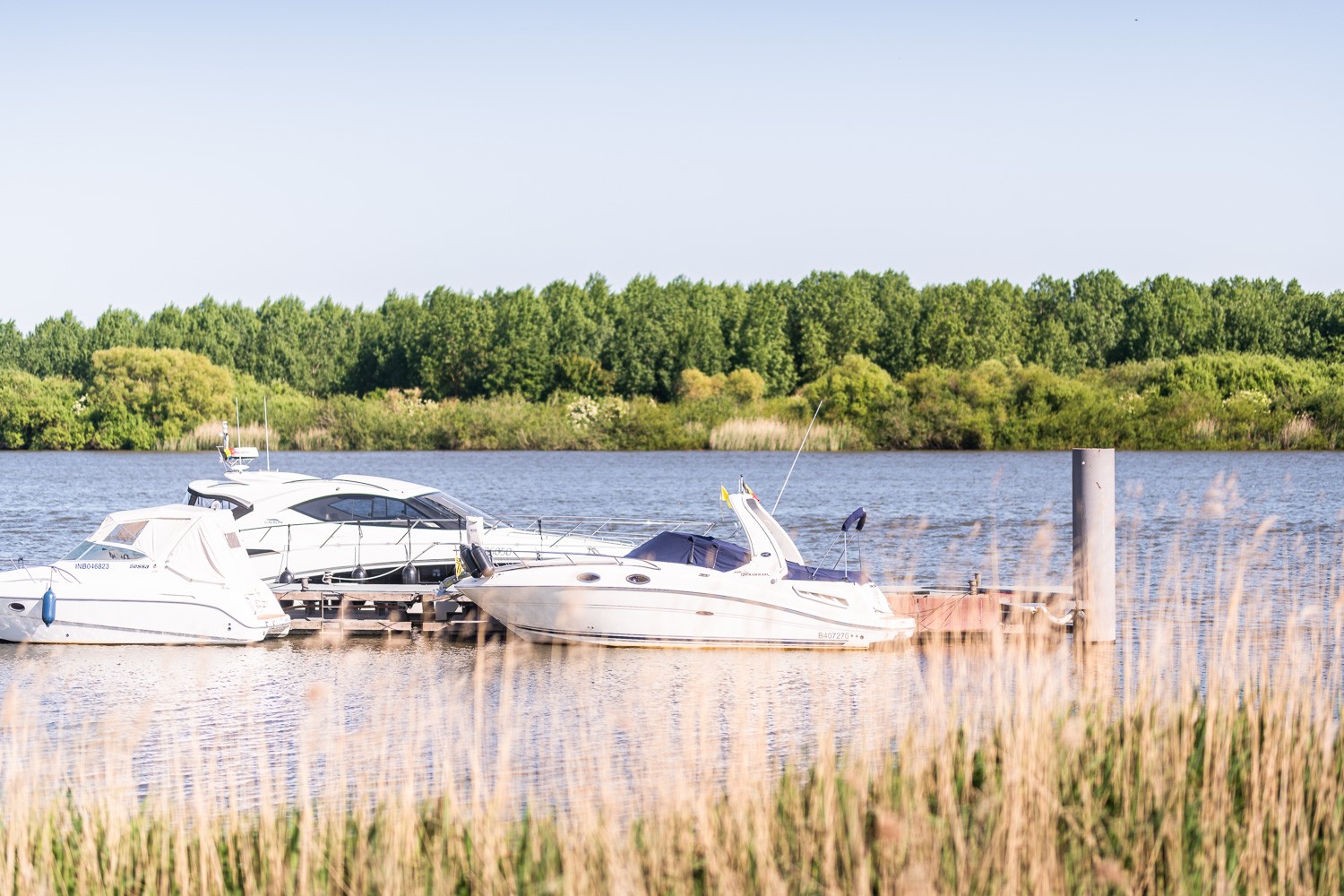 Projet à vendre à Temse - photo 5